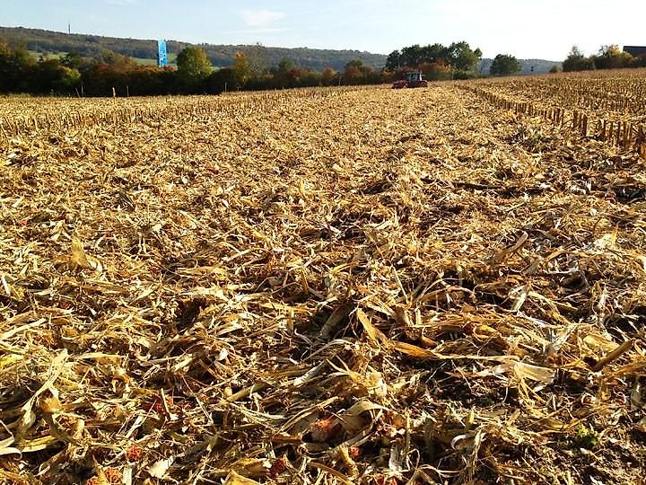 schulte FX-318 Sichelmulcher