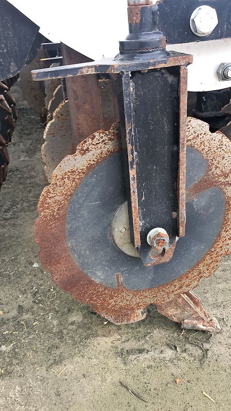 Agrisem Stripcat 2 12-50