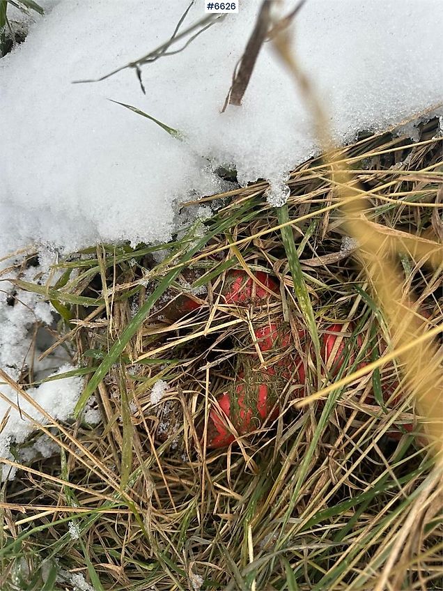 Fort & Pegoraro F6500