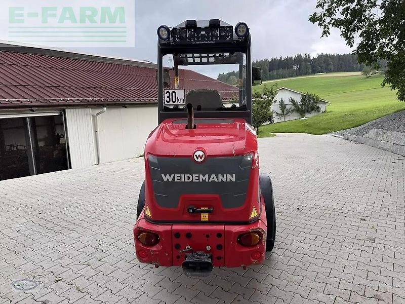 Weidemann 1880