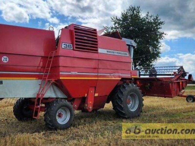 Massey Ferguson MF 36 AL