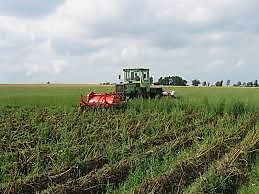 AKPIL KS 1500 ; KS 75-2 ; 2reihig; GRIMME